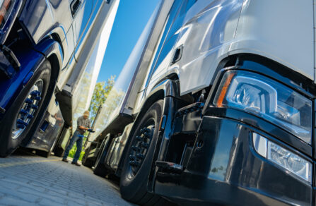 Two HGVs parked side by side in the sunshine