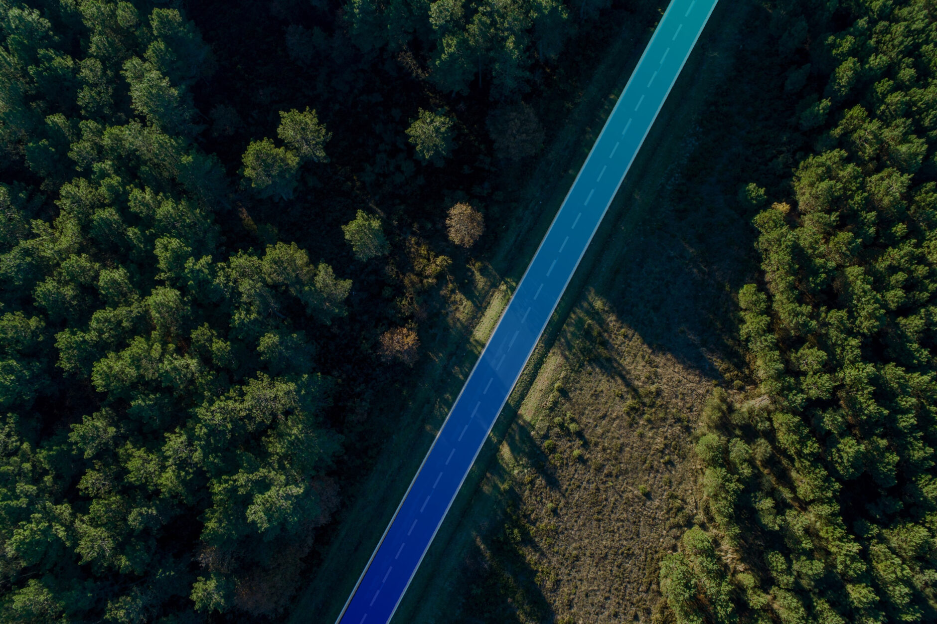 Aerial view of road through green forest trees